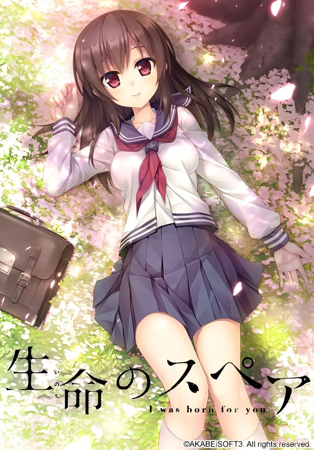 生命的备件 / 生命のスペア