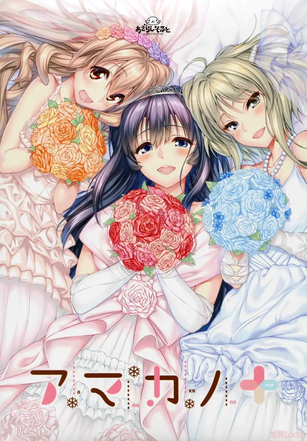 甜蜜女友+ / アマカノ+