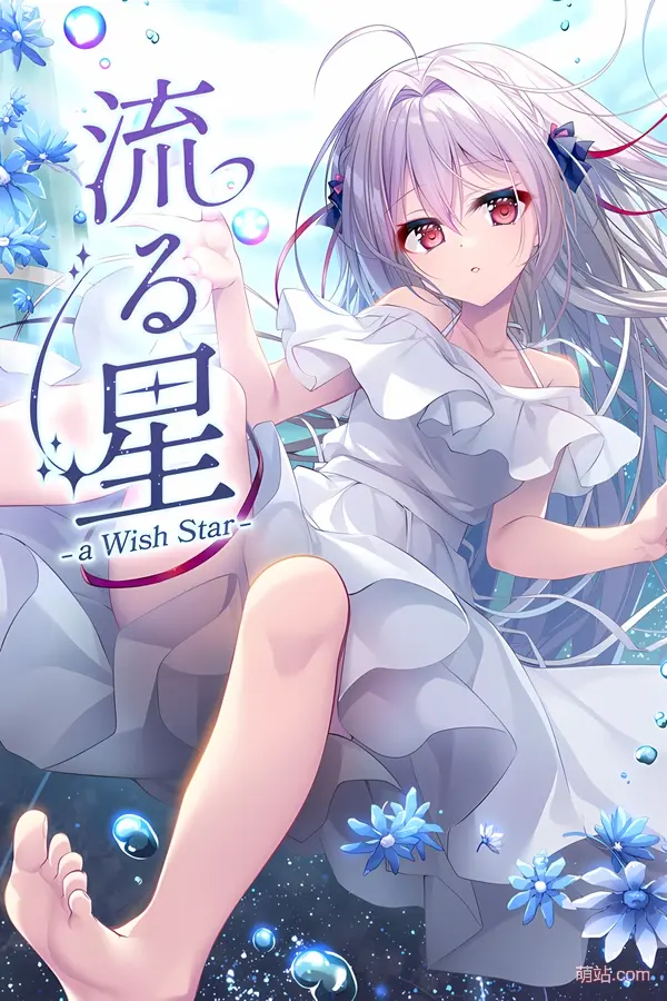 流星 -a Wish Star- / 流る星 -a Wish Star-